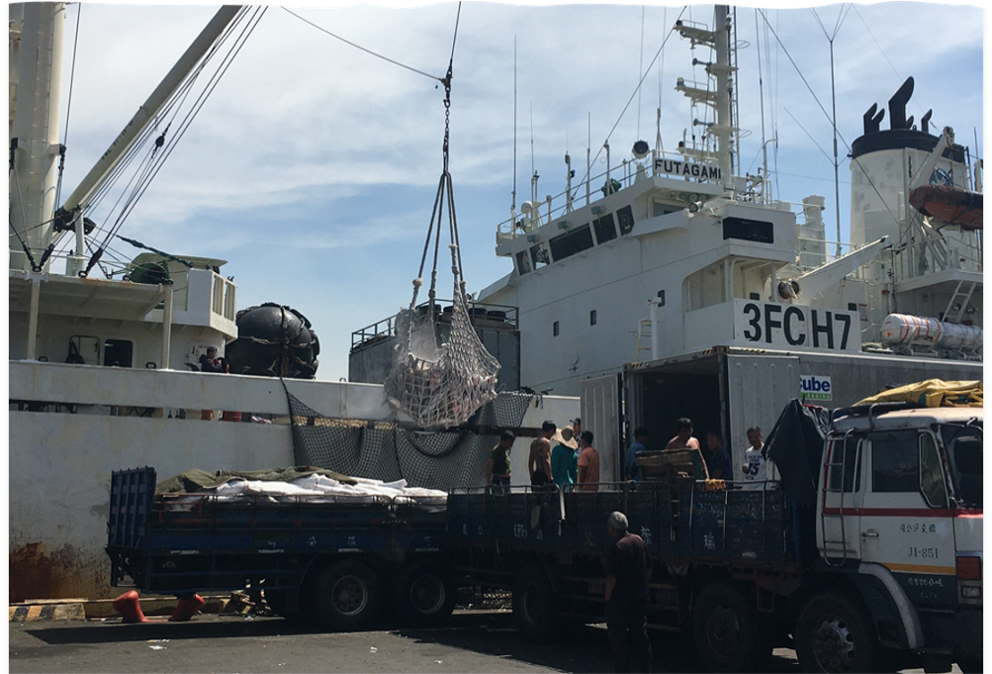 冷凍漁獲轉載 冷凍漁獲轉載
